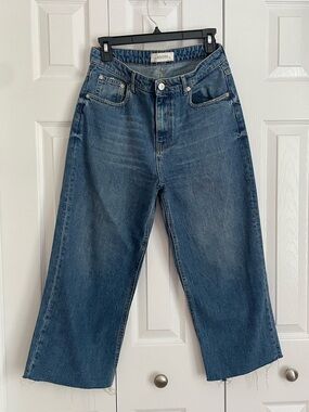 Zara Wide Leg High-Rise Jeans in Blue Wash